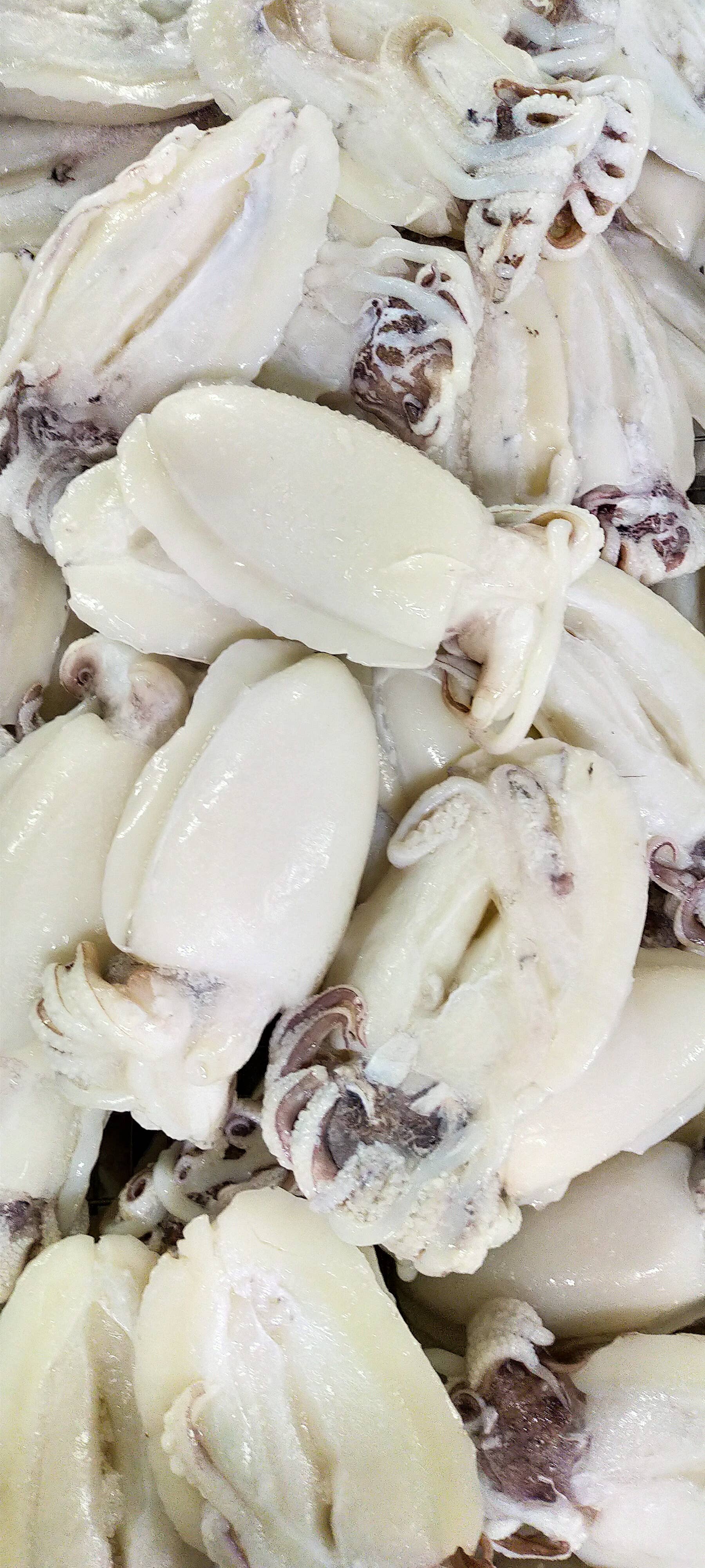 Toscana in Tavola - Wholesale Salsa - Cacciuccata Sauce 180g2