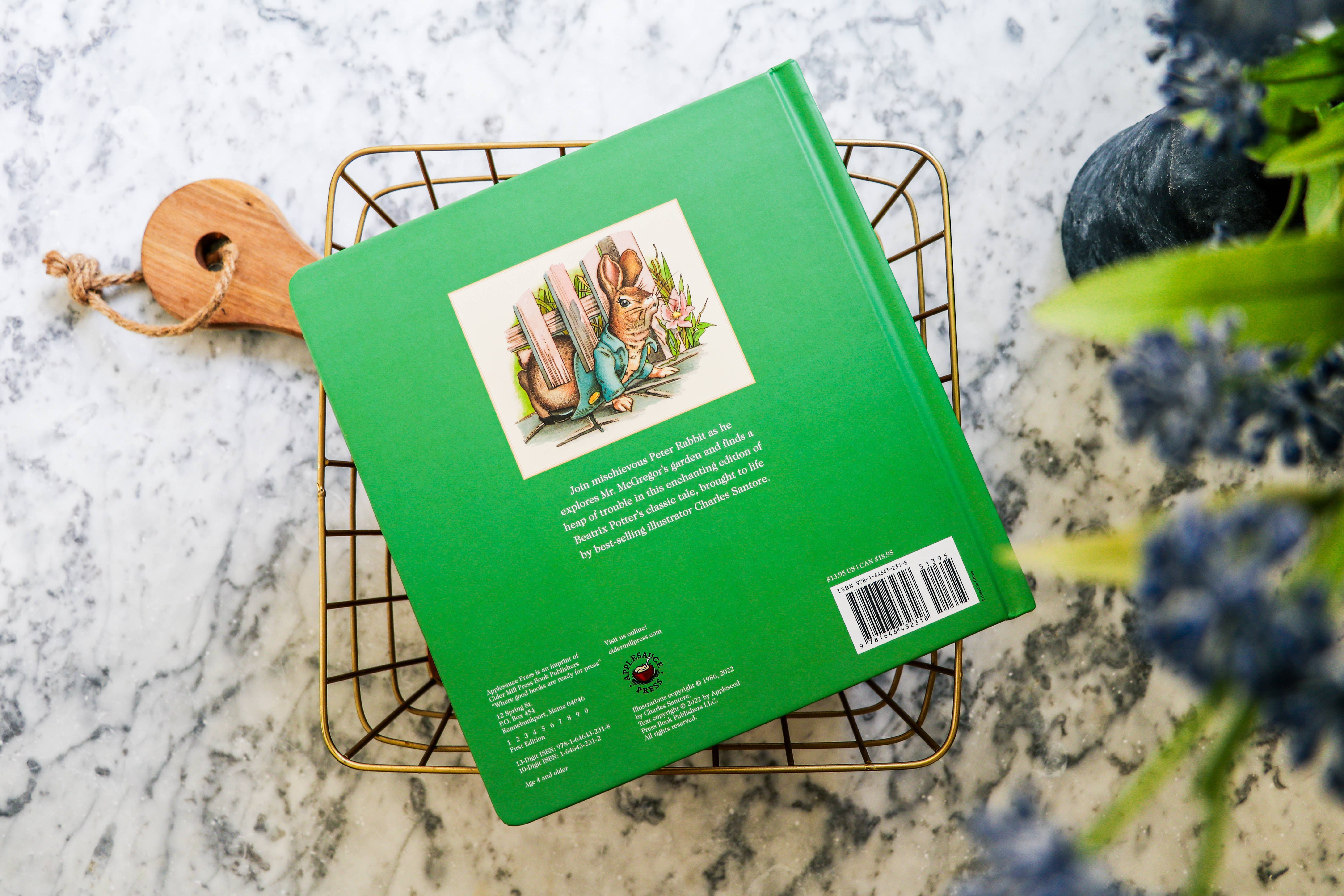 HarperCollins Focus - Wholesale Baby & Toddler Book (0-2) - The Peter Rabbit Oversized Board Book4