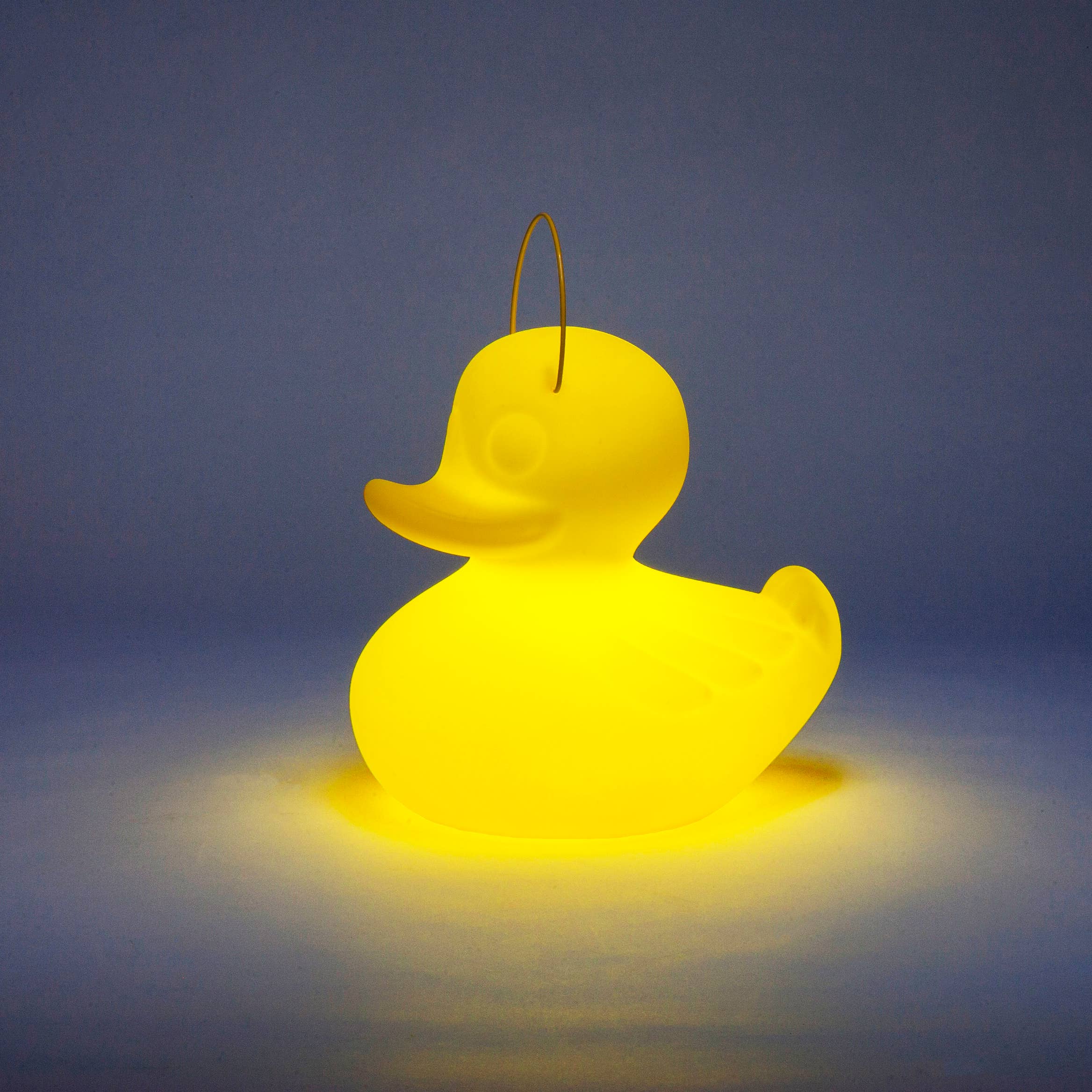 Goodnight Light - Wholesale Accent/Desk Lamp - The Duck-Duck Lamp Small 31cm - floating rechargeable lamp12
