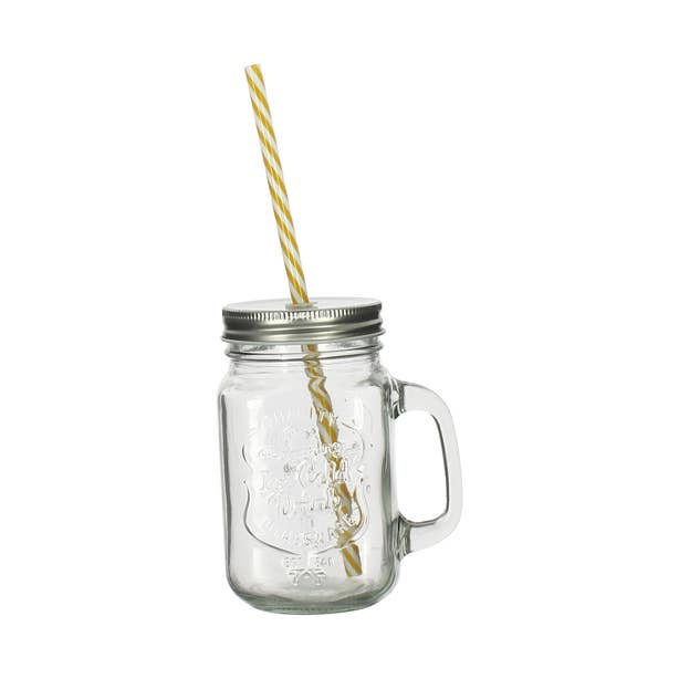 Novastyl - Wholesale Coffee/Tea Cup - 450ml glass mug with reusable plastic straw1