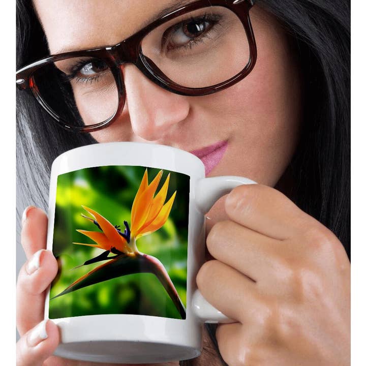 3dRose - Wholesale Coffee Mug - 3dRose, Bird of Paradise flower. Orange. Exotic flowers. Popular flowers., Mug9