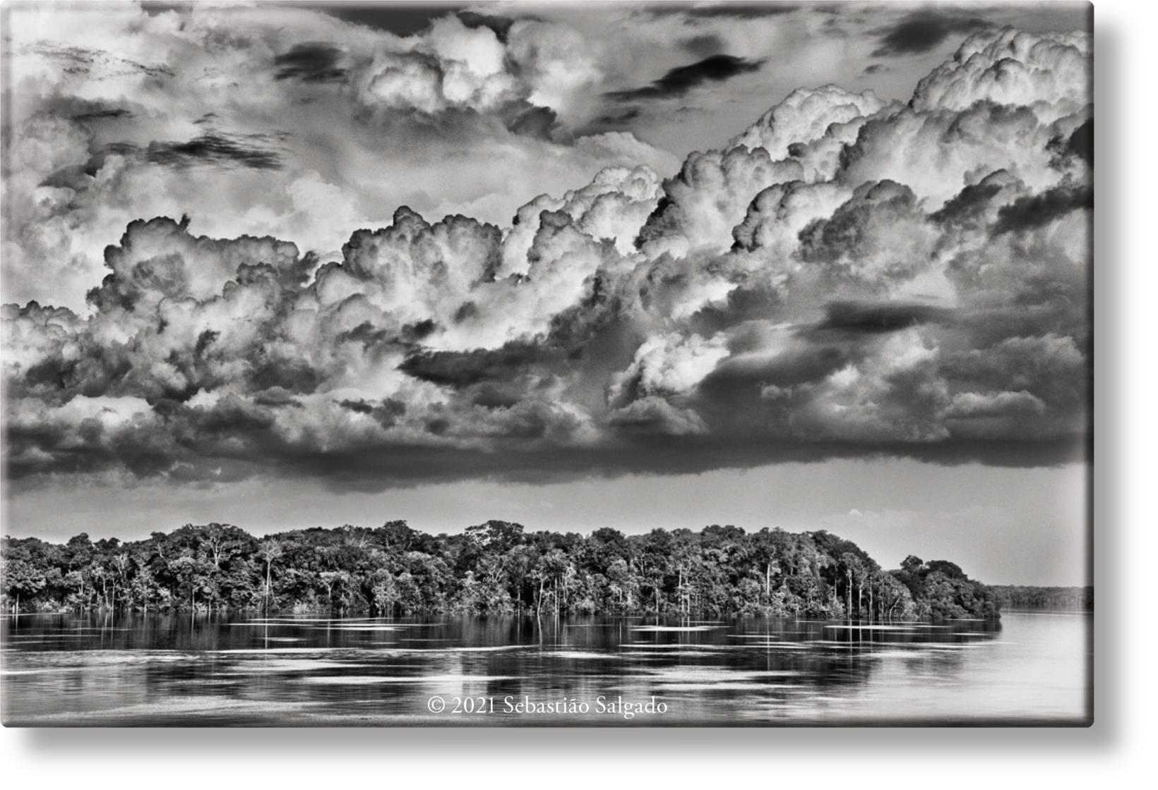 TASCHEN Europe - Vendita all'ingrosso Calamite - Sebastião Salgado. Amazônia. Calamita 'Parana'0
