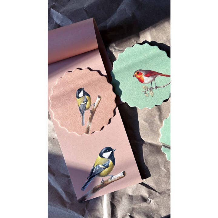 30x40 - Wholesale Coasters - Coaster Set Birds 🦉🦜🐦