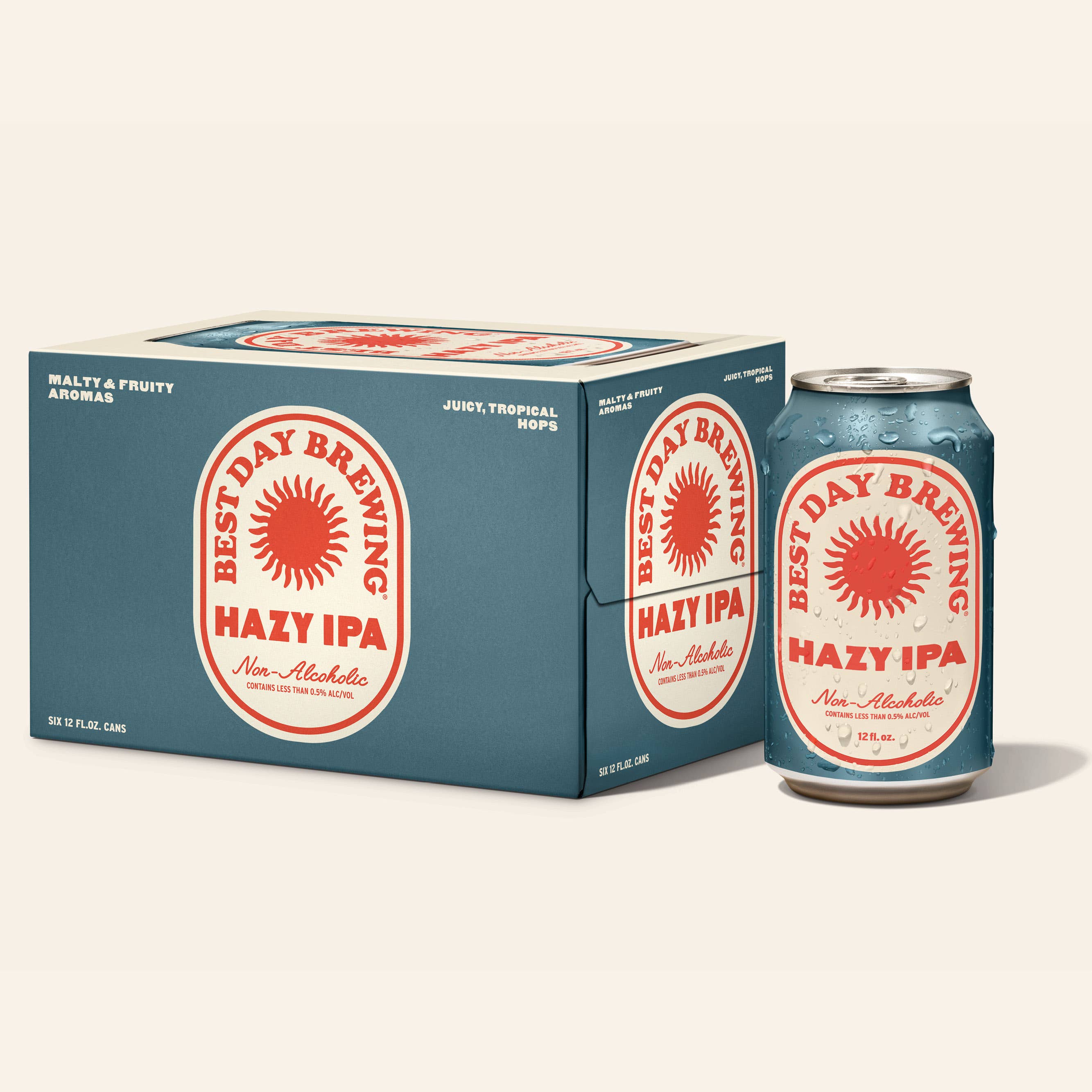 Best Day Brewing - Wholesale Non-Alcoholic Beer - Hazy IPA3