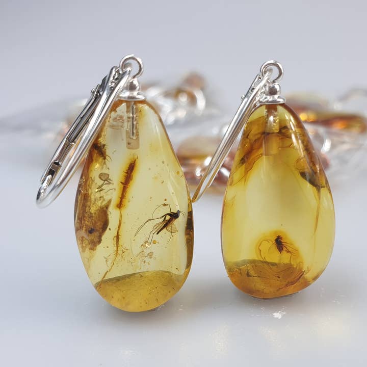 Insekt i rav, ædelsten smykker. Baltisk rav dråbe ørering for engroshandel hos AmberLithuania