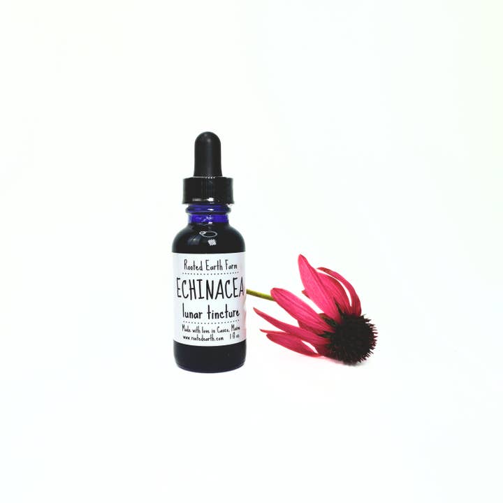 Rooted Earth Farm + Apothecary - Wholesale Tincture - Echinacea Tincture - 2 Size Options3