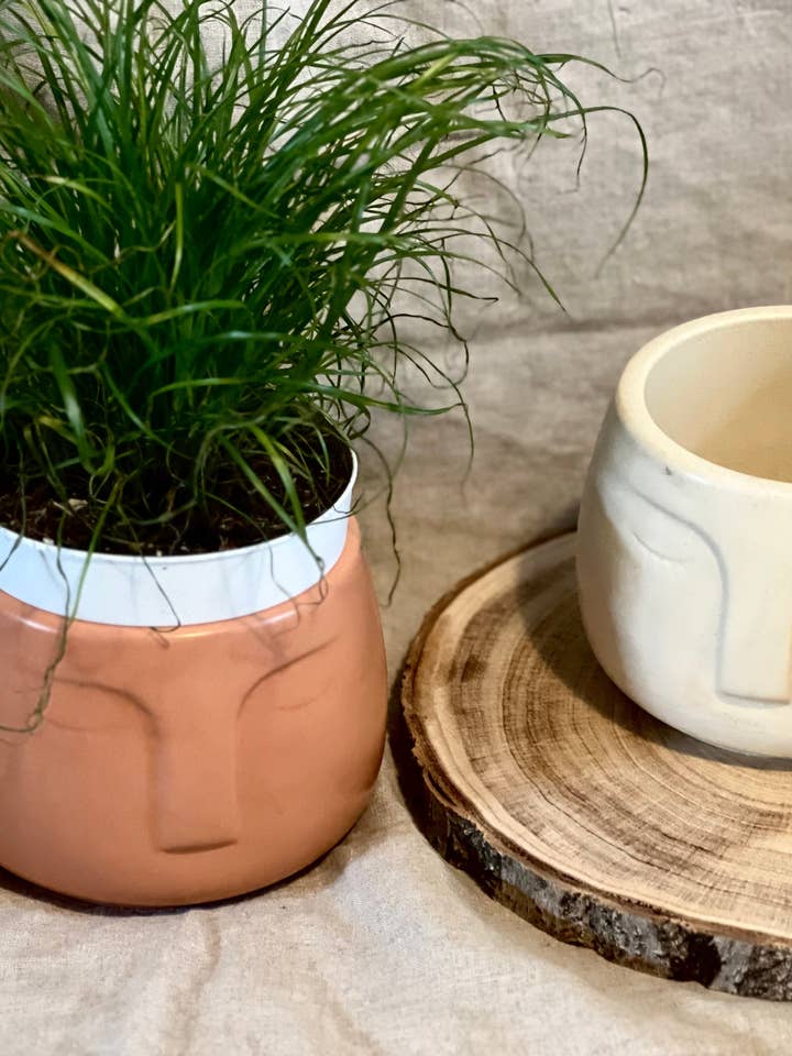 Ansikte Planter för wholesale av EMB Pretty