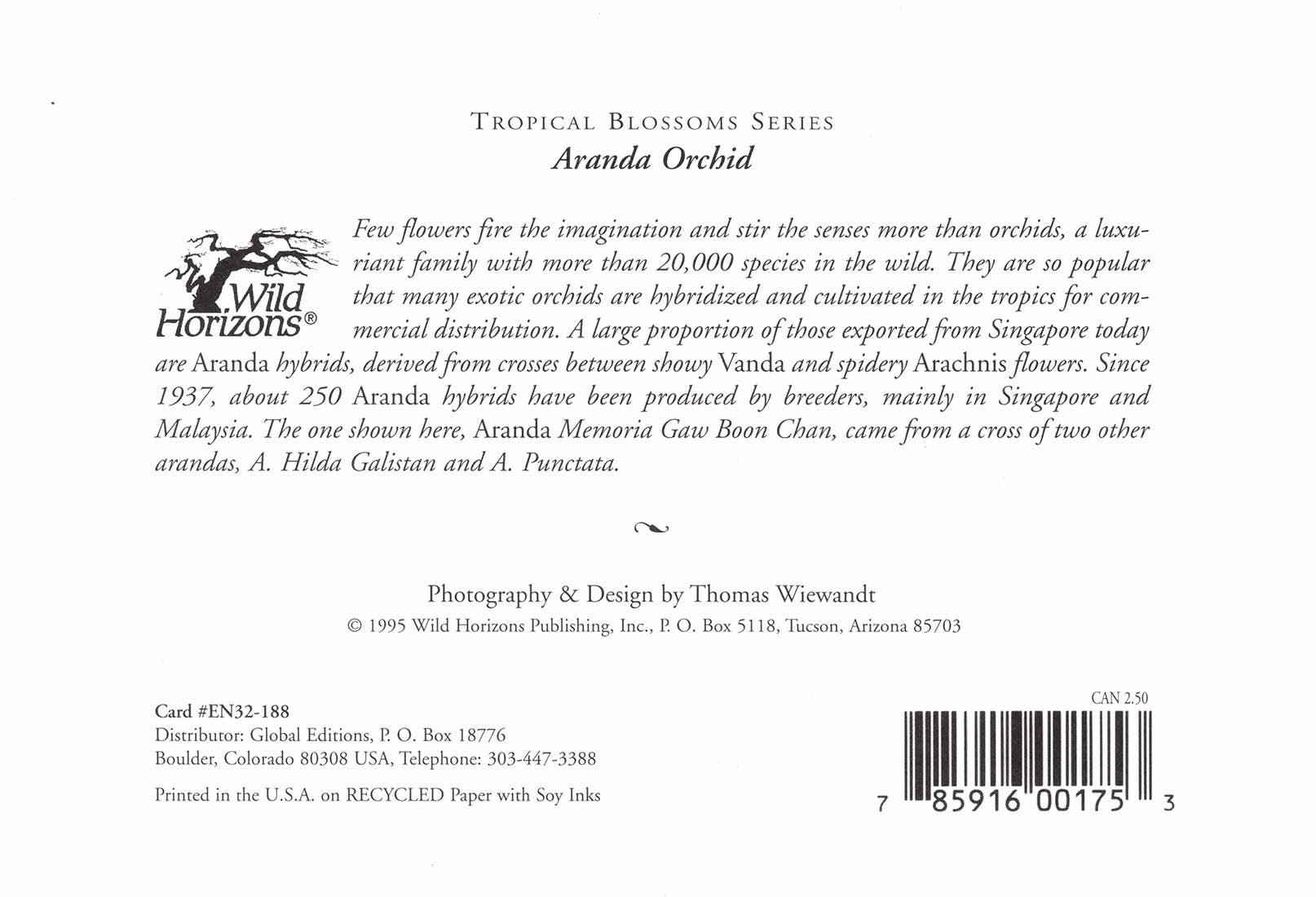 Wild Horizons Productions - Wholesale Stationery/Notecard Set - Notecard +Envelope:  Tropical Flowers, Aranda Orchid1