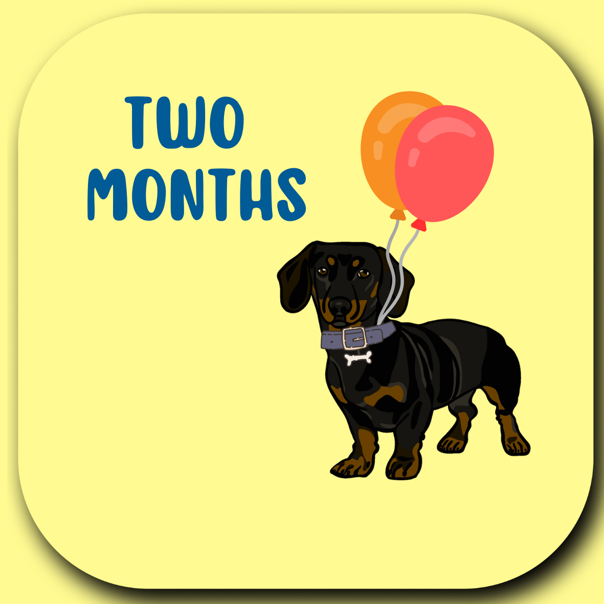 Wild & Wright - Wholesale Milestone Art/Keepsake - Kids & Baby - Welcome to the Pack Milestone Card Set12