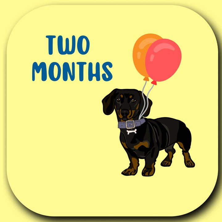 Wild & Wright - Wholesale Milestone Art/Keepsake - Kids & Baby - Welcome to the Pack Milestone Card Set12