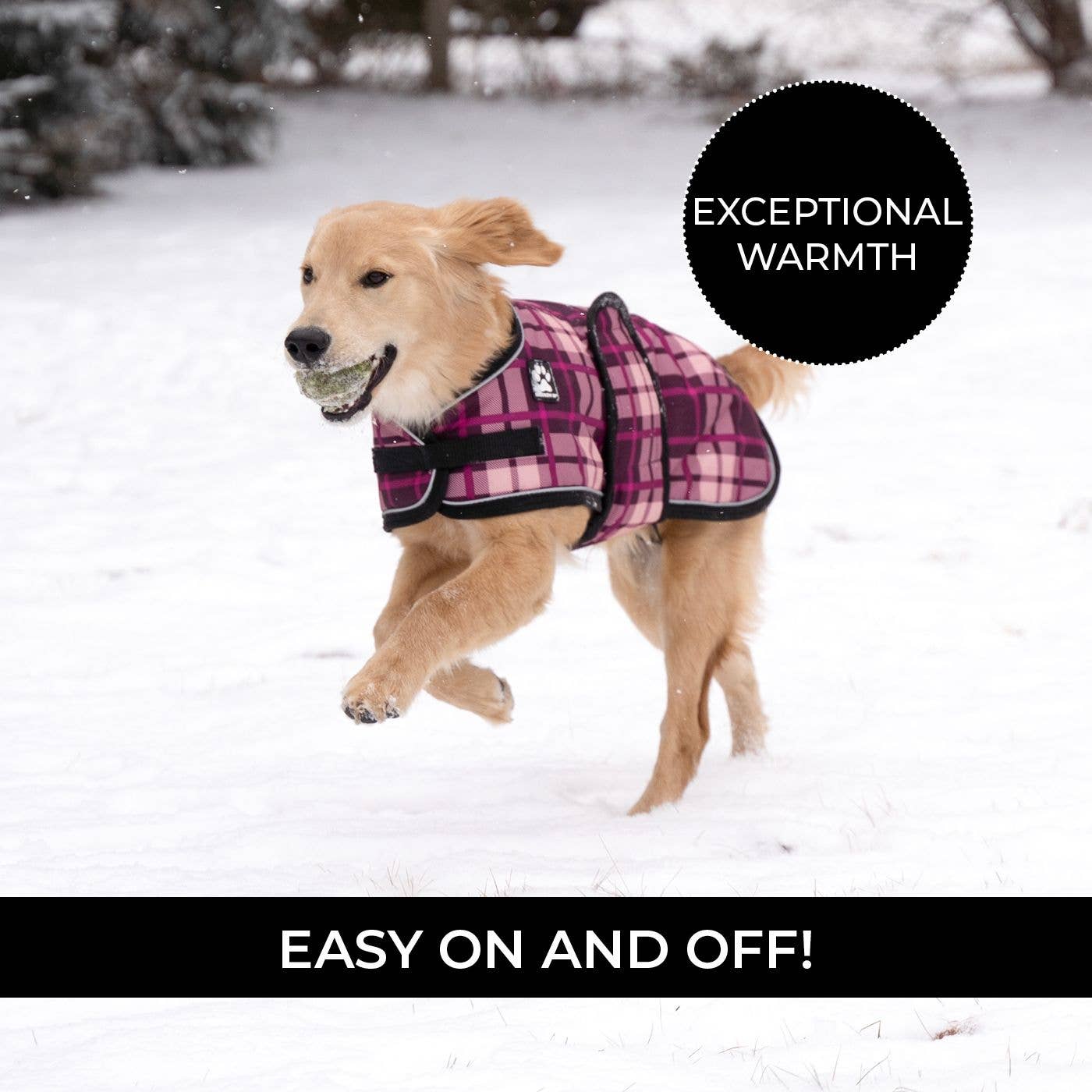 Shedrow K9 - Wholesale Pet Coat - Dog - Shedrow K9 Glacier Dog Coat - Potent Purple Plaid2