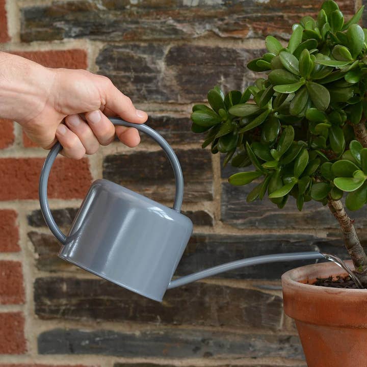 Wholesale Gifts Tomorrow - Wholesale Watering can - Grey Small 1.1L Indoor Watering Can Metal Coated Steel2