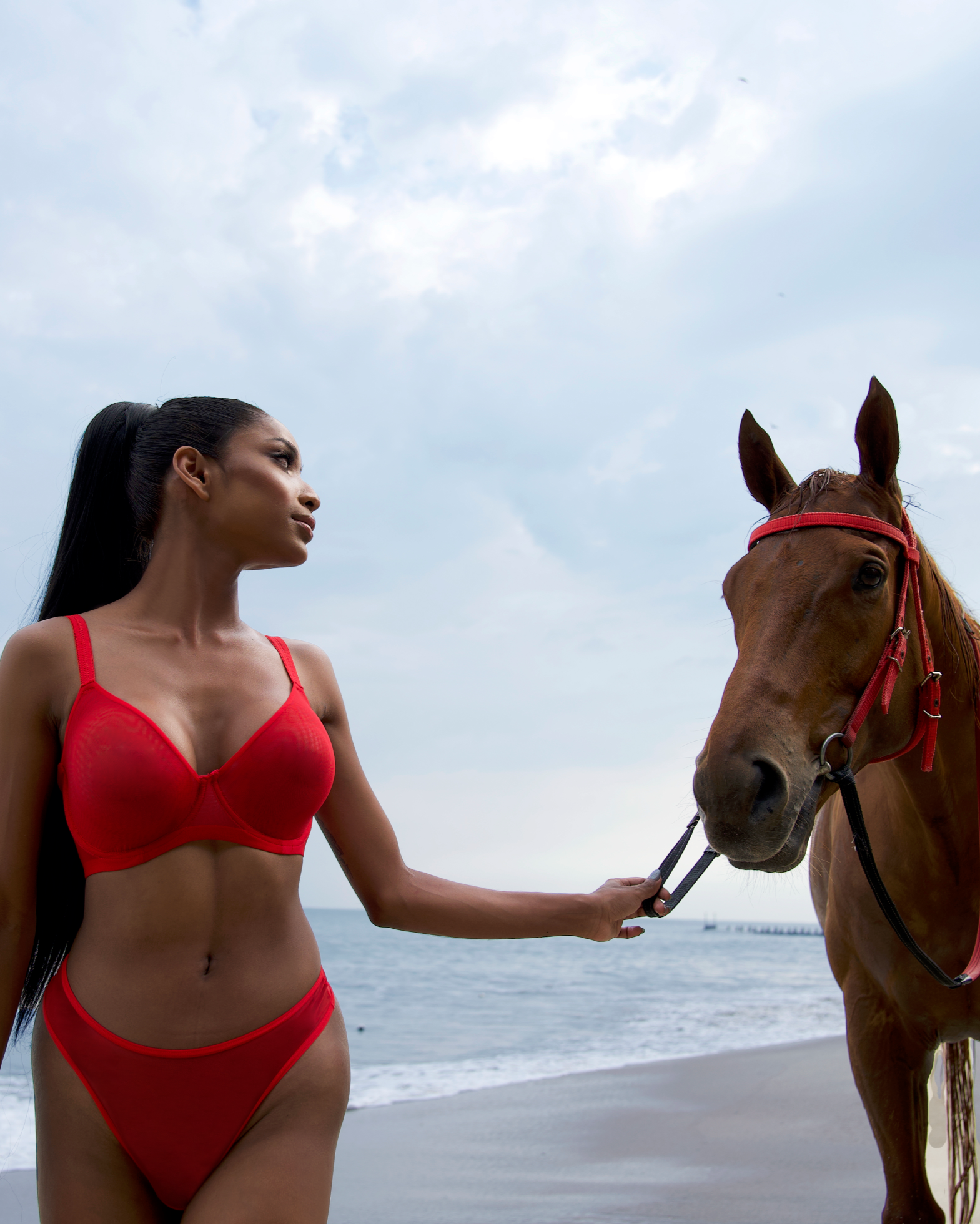 Amour d'Agnette - Wholesale Underwear - Women's - 5 Color Sheer Mesh Hipster2