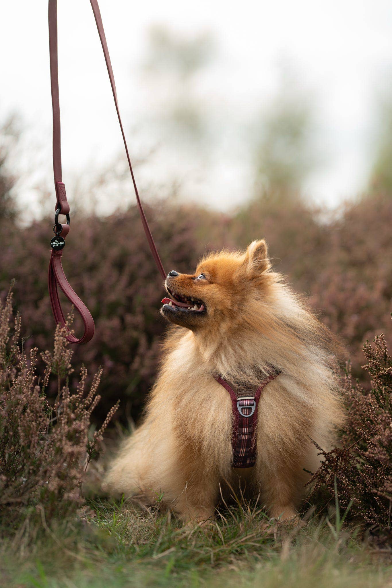 The aDoraBle Pooch Company - Wholesale Pet Harness - Dog - Streamline Pro™ Dog Harness - Heritage Collection - Merlot Manor28