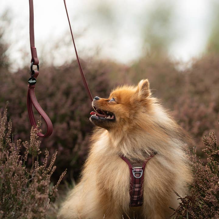 The aDoraBle Pooch Company - Wholesale Pet Harness - Dog - Streamline Pro™ Dog Harness - Heritage Collection - Merlot Manor28