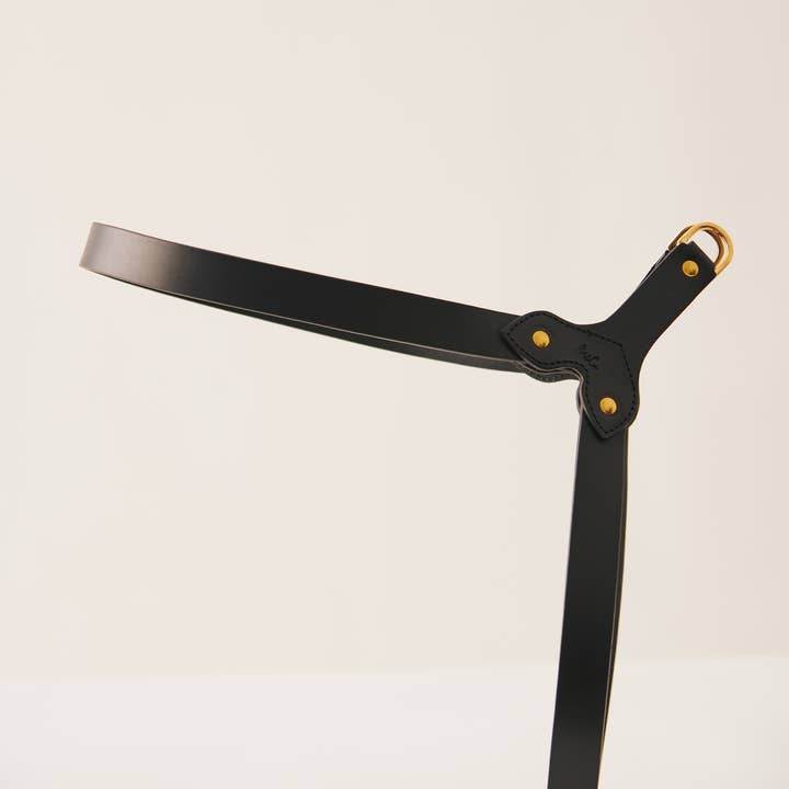 Muso & Co – Großhandel Haustiergeschirr – Hund – Klassisches Geschirr aus pflanzlich gegerbtem Leder37