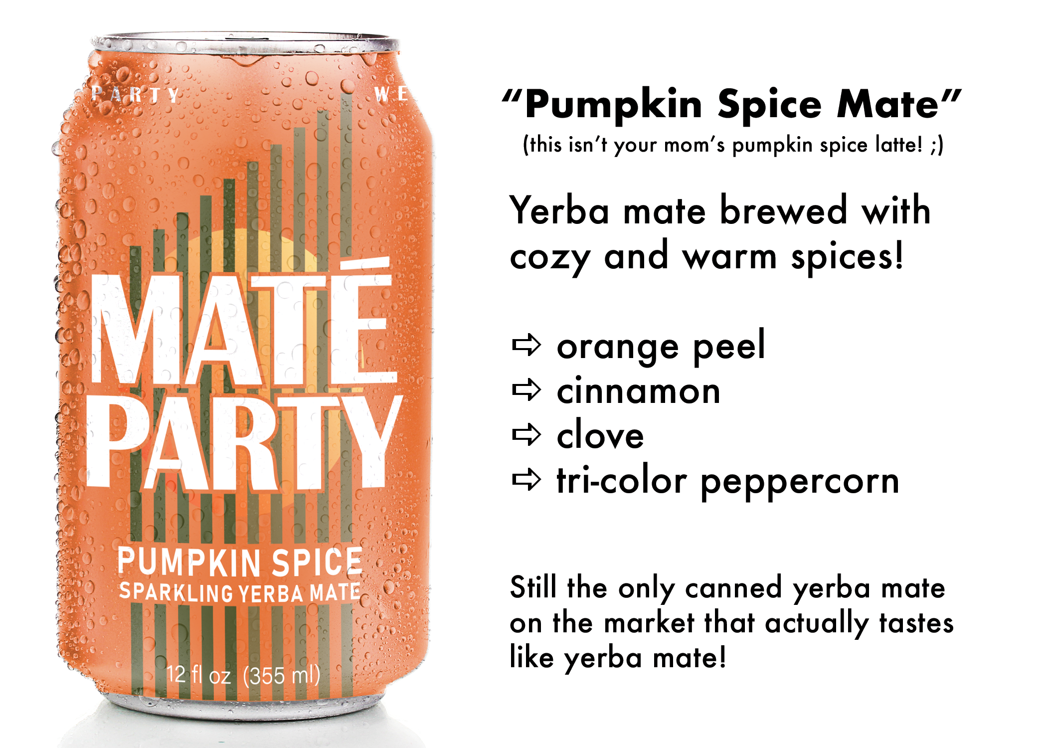 Maté Party - Wholesale Sports/Energy Drink - Winter Spice Maté - yerba mate2