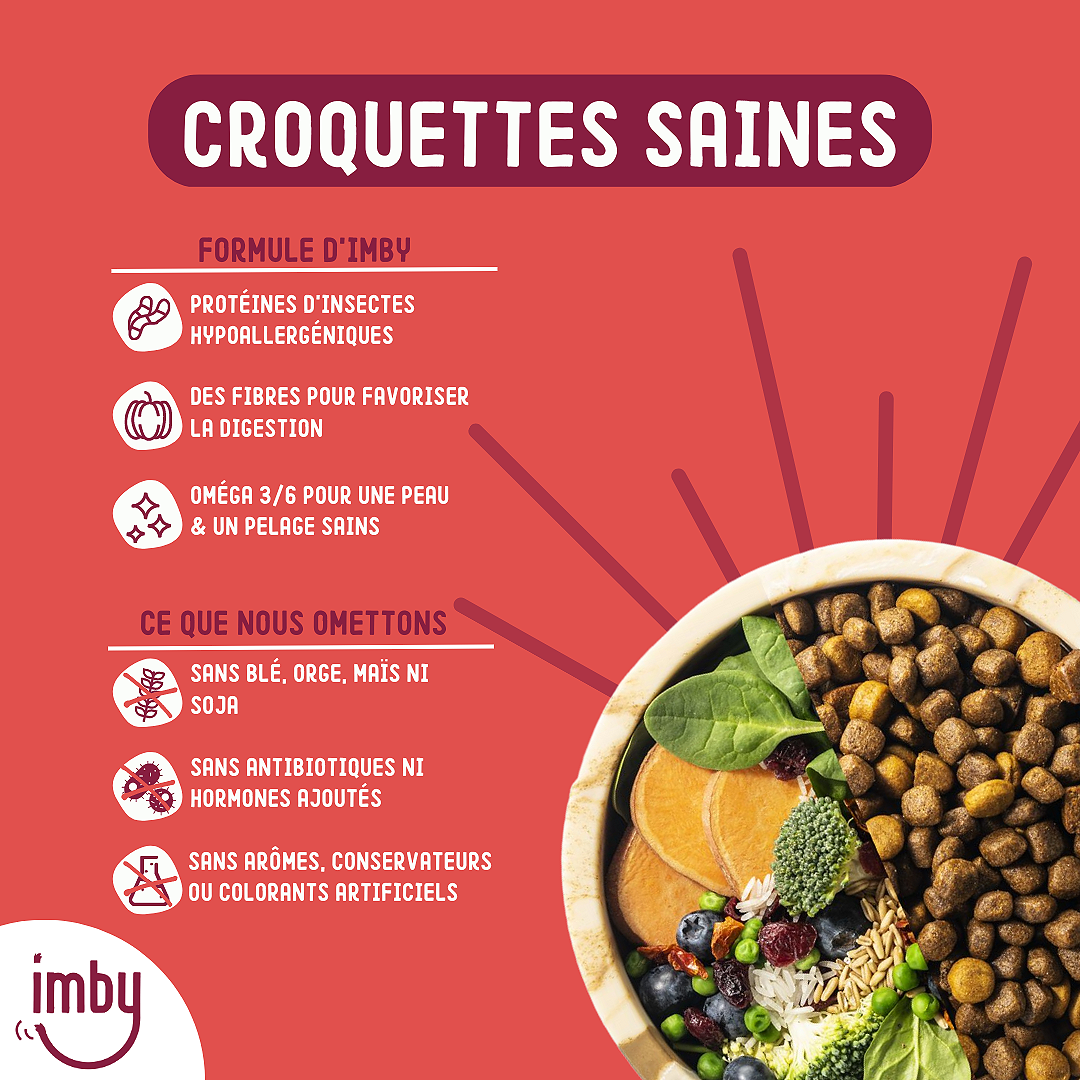 Imby Pet Food - Wholesale Pet Food - Dog - INSECT KIBBLE FOR DOGS3