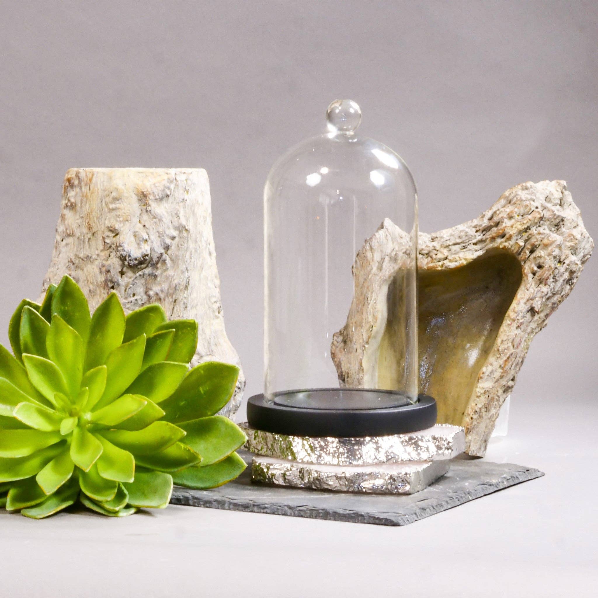 ENVIRONMENT - Wholesale Decorative Tabletop Object - Clear Glass Cloches with Black Wood Case1