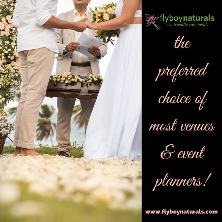 Flyboy Naturals Rose Petals - Wholesale Dried/pressed flowers - Irish Blend Rose & Hydrangea Petals.30 Cups Freeze-dried USA11