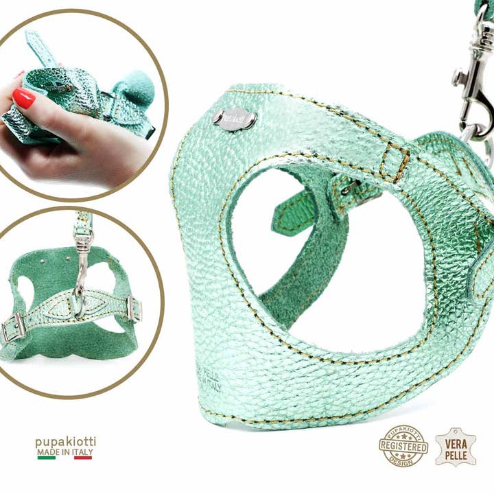 Pupakiotti Pets, Brand in Italy Srl. - Wholesale Hondenriem - Hond - GLAM. 3-delige set tuig en riem met leren zakjeshouder voor honden3