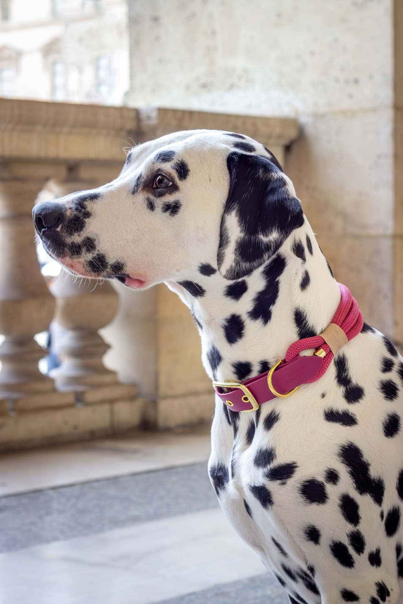 Atelier Markiz – Engroshandel Halsbånd - Hund – Sangria Halskæde3