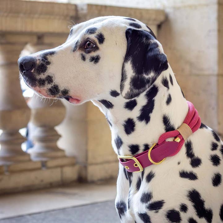 Atelier Markiz – Engroshandel Halsbånd - Hund – Sangria Halskæde3