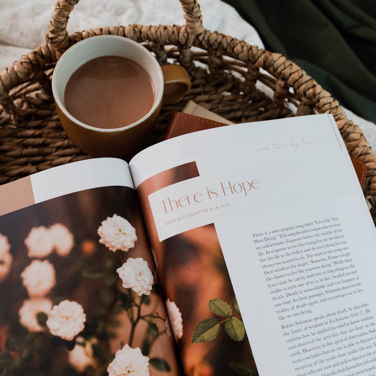 The Daily Grace Co - Vente Religion - Path to Purpose | Une étude sur le livre de l'Ecclésiaste10