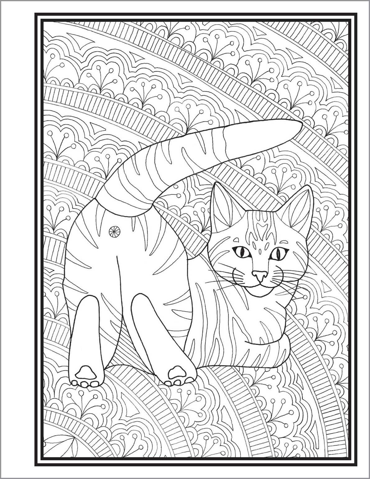 Sourcebooks - Wholesale Coloring & Activity Book - Adult - Butts, Bleps, and Beans Cat Coloring Book3