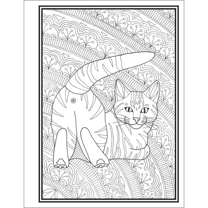 Sourcebooks - Wholesale Coloring & Activity Book - Adult - Butts, Bleps, and Beans Cat Coloring Book3