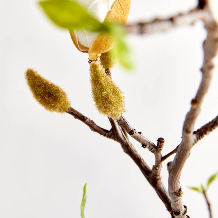 Napa Home & Garden - Wholesale Artificial Flowers - Magnolia Budding Branch3