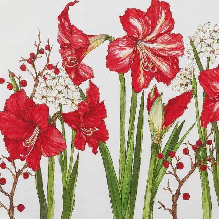 Peking Handicraft - Vendita all'ingrosso Strofinacci - Asciugamano da Cucina Natalizio Bloom - Sally Eckman Roberts2