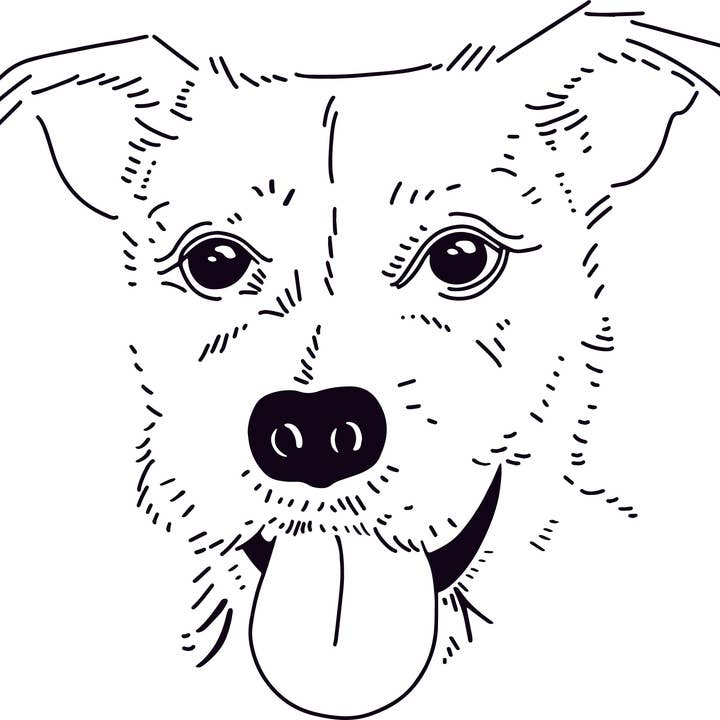 Individuelles Haustierporträt für den Großhandel von Love & Lion