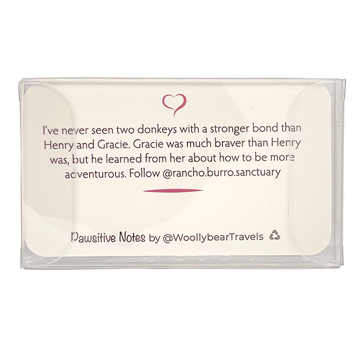 Woollybear Travels - Wholesale Stationery/Notecard Set - Pawsitive Notes- Rescued Donkeys (Lunch Box Notes)6