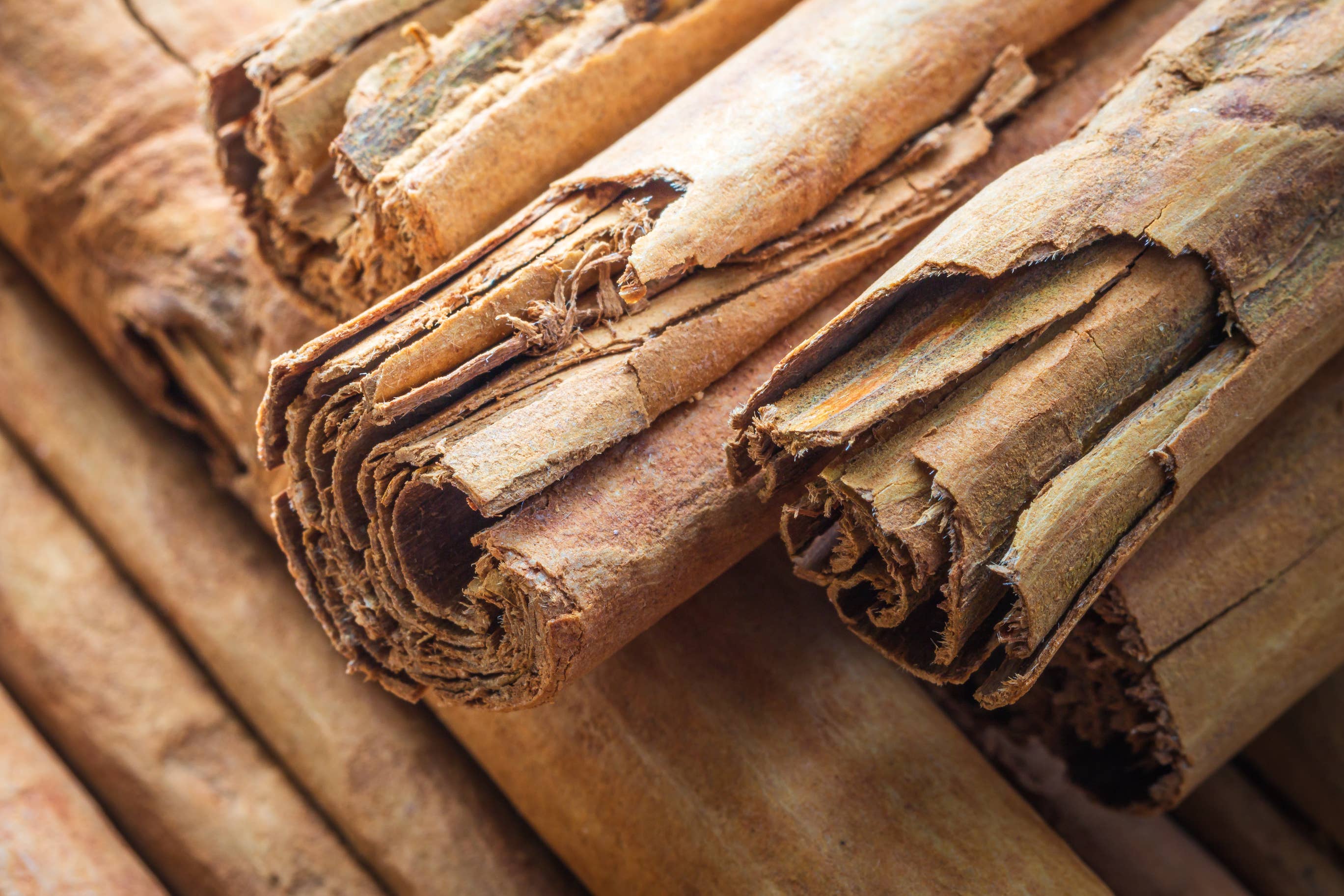 Sholom Tea - Wholesale Herbs - Cinnamon Verum  {True Cinnamon}   Origin: Sri Lanka1