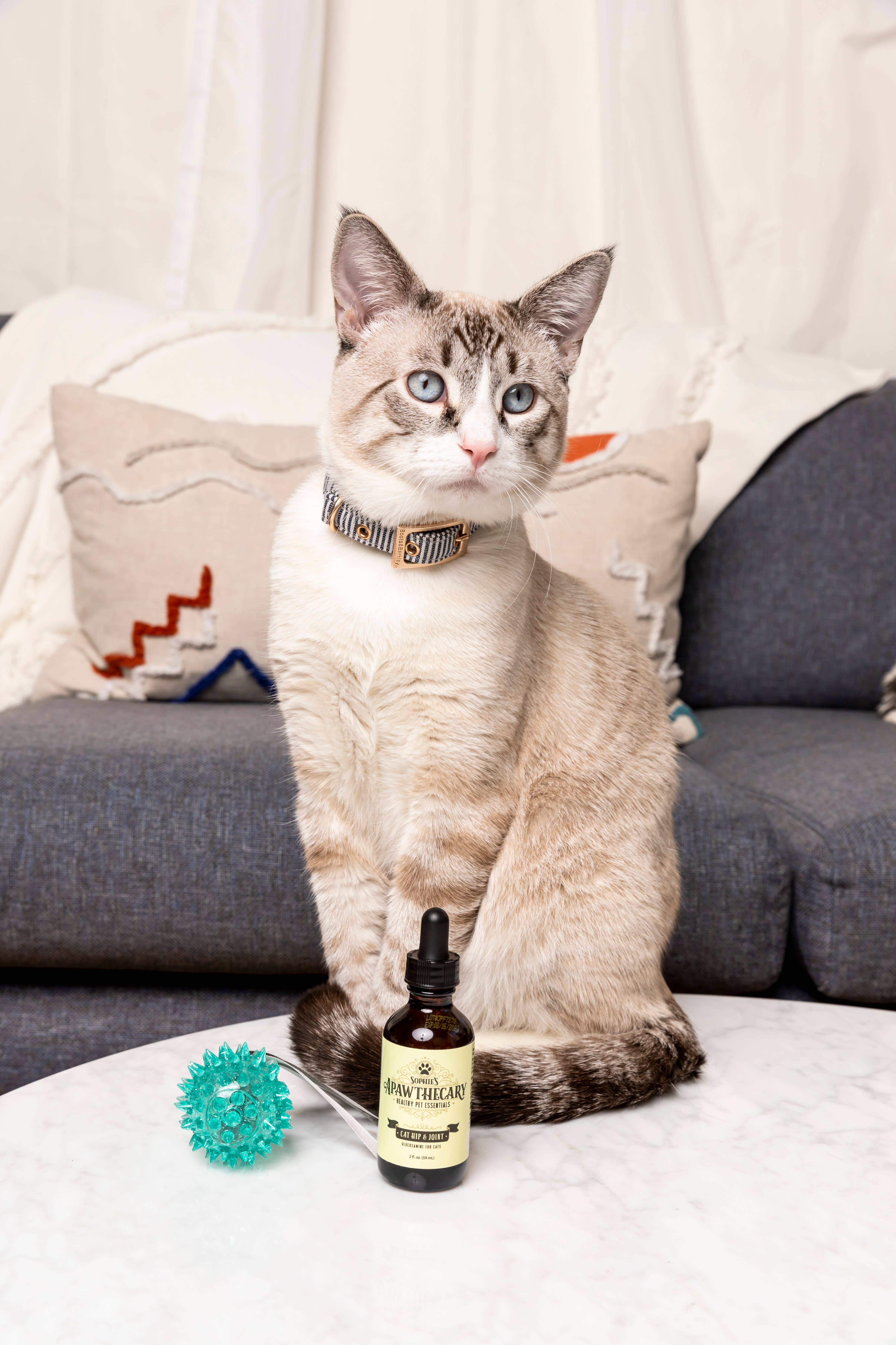 Sophie's Apawthecary® – wholesale Pet supplement – Cat – Cat Hip & Joint Liquid4