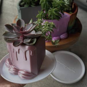 Jardinière en forme de morceau de gâteau | Plus de couleurs disponibles pour la vente par Peachy Pilea