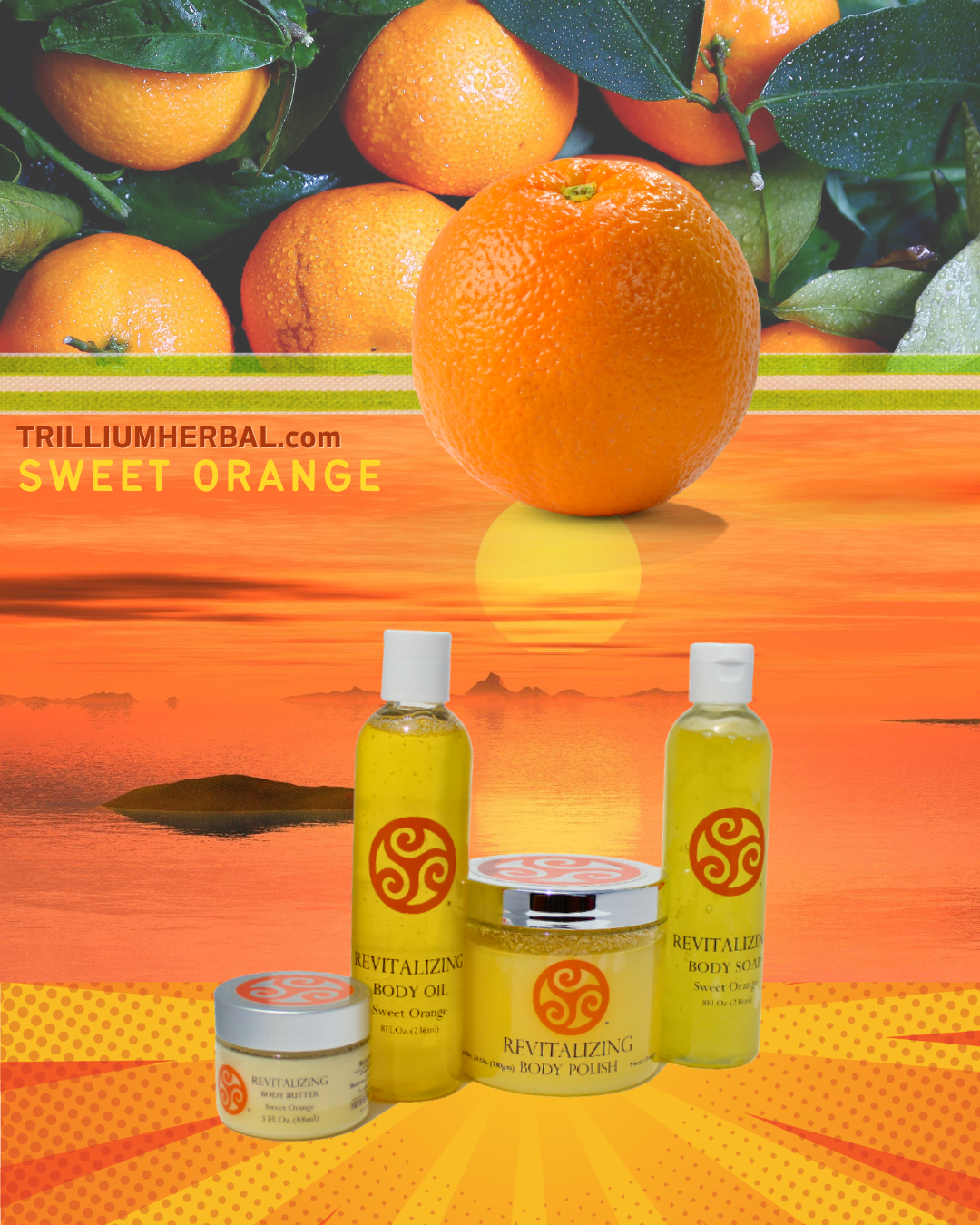 TrilliumHerbal Company - Vendita all'ingrosso Bagnoschiuma/gel doccia - Arancia Dolce - SAPONE PER IL CORPO2