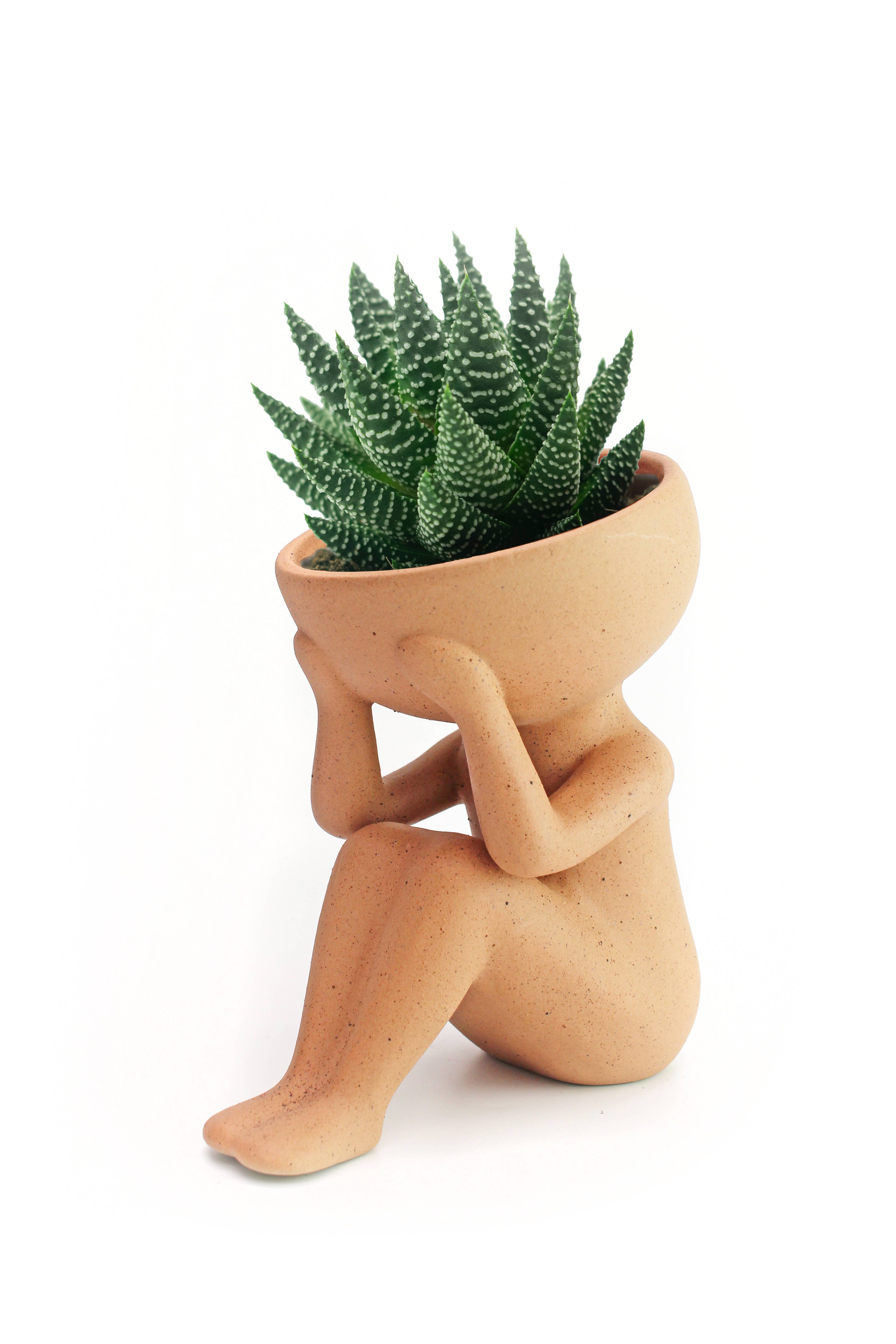 MAGS – Großhandel Blumentopf – Nur Pflanzen im Kopf aus Keramik2