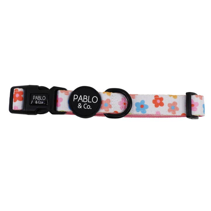 Pablo & Co. Boutique - Wholesale Pet Collar - Dog - Posy: Collar