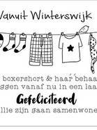 Tarjeta de felicitación Colorboost 5, caja 152 para venta al por mayor de POSkaart | De Groot Design