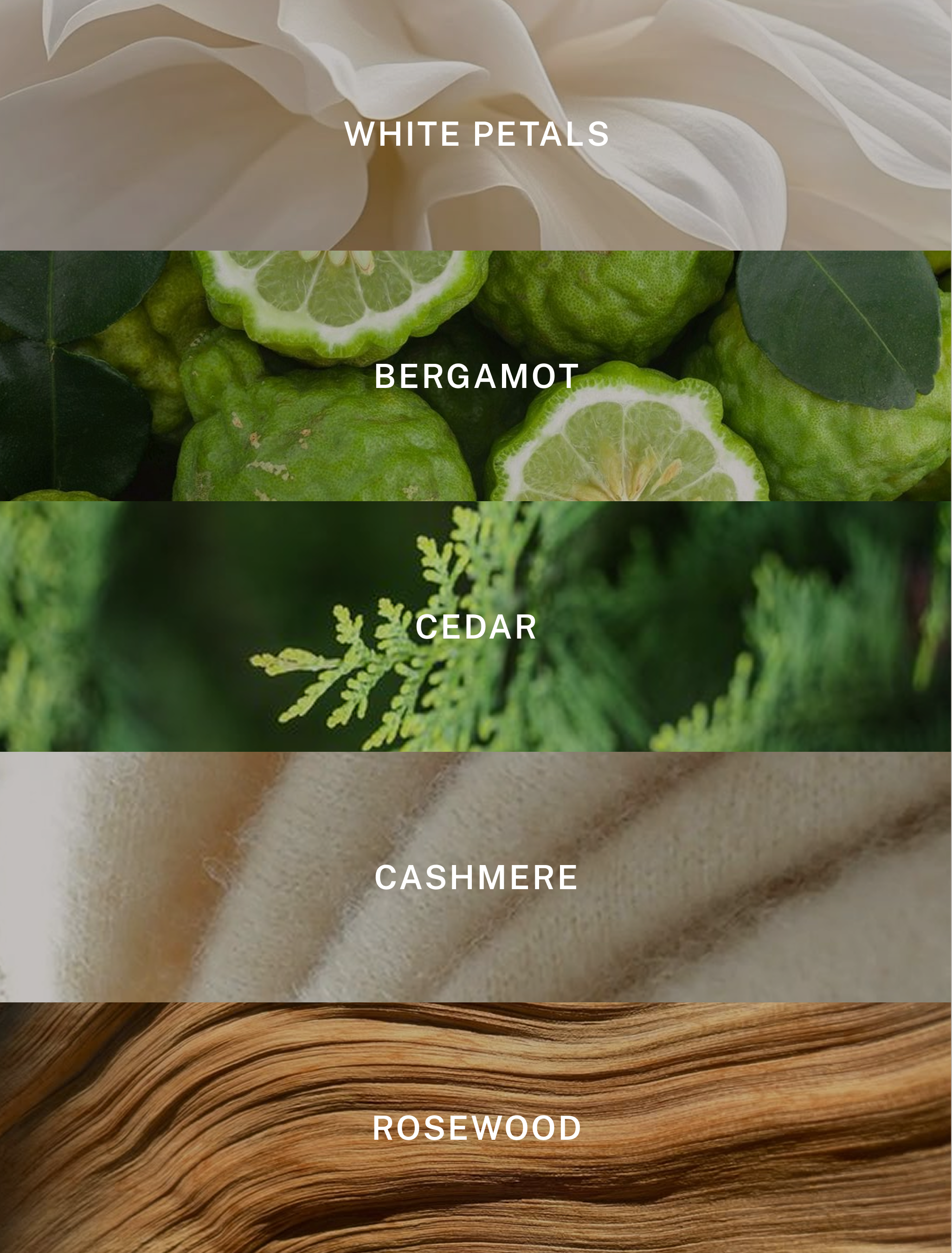 Hotel Lobby Candle - Wholesale Jar/Filled Candle - Miami - Luxury Soy Candle - 9.75 oz1