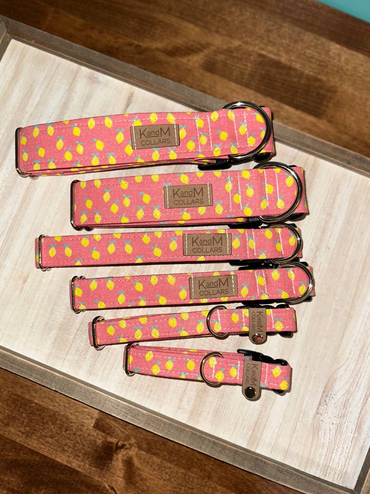 Lemons On Pink Dog Collar, K and M Collars for wholesale by K and M Collars