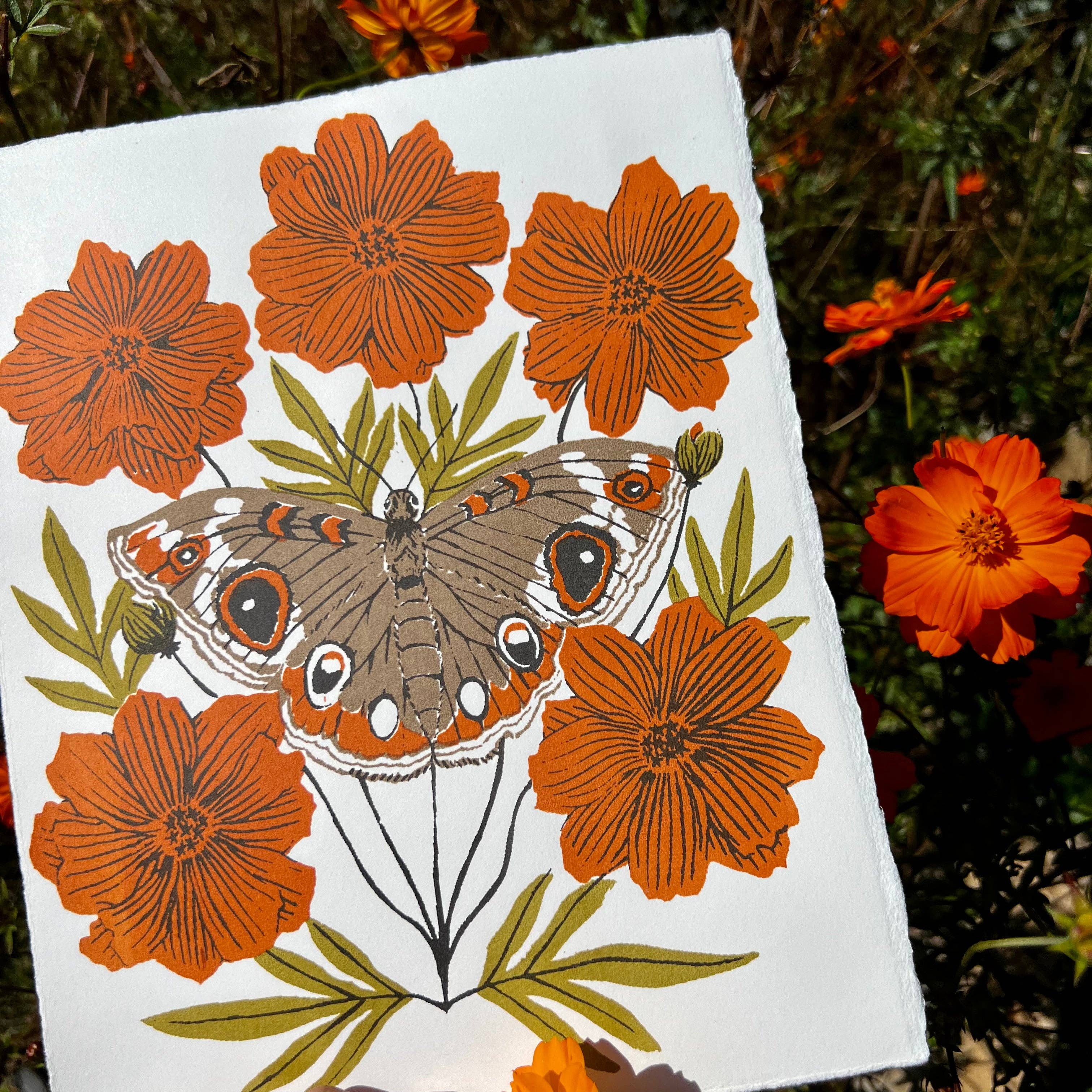 Needlebone, LLC - Vente Affiche d'art - Buckeye - Imprimé 8x102