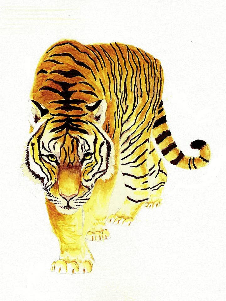 Lámina Tiger Number 1 para venta al por mayor de Michael Vigliotti