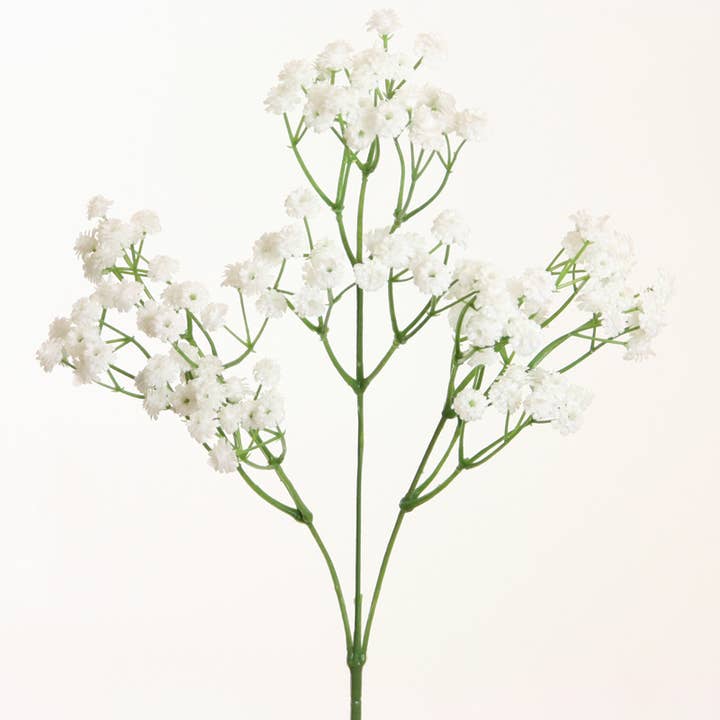 Gypsophilia 'soft touch' 62 cm white for wholesale by Floratexx