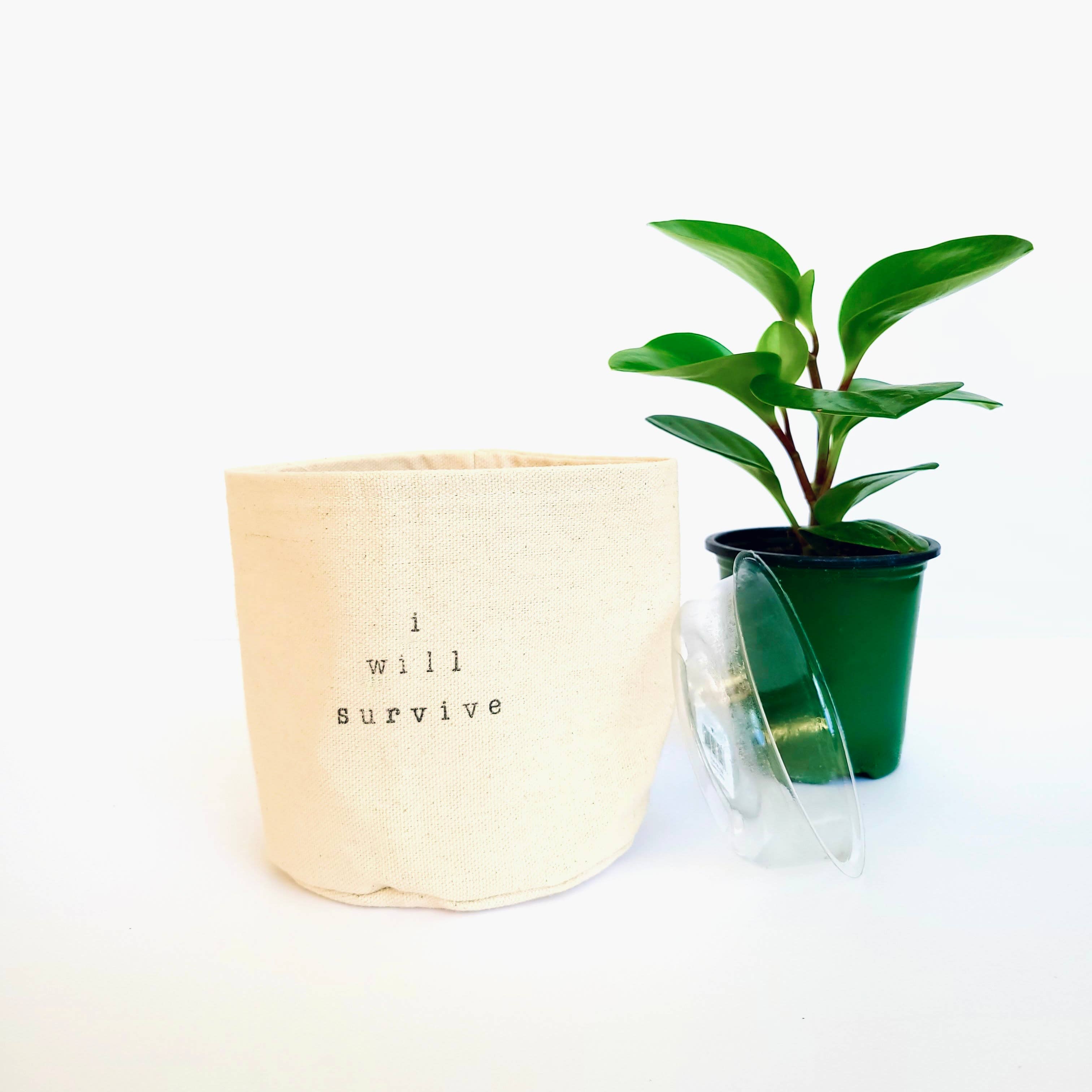 Leaf and Root Co. – Vaso de plantas por atacado – Capa para vaso de plantas em lona grow, you bastard3