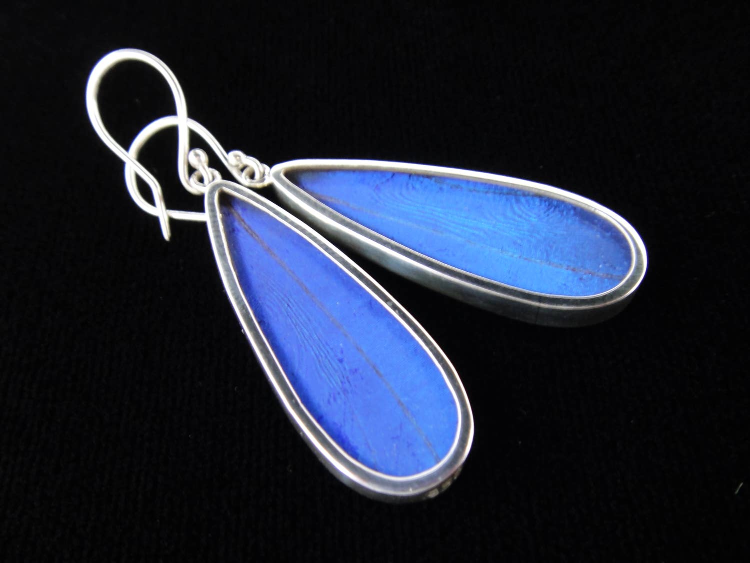 Tika - Wholesale Dangle Earrings - Shimmerwings "Blue Morpho" Butterfly Long Drop Earrings2