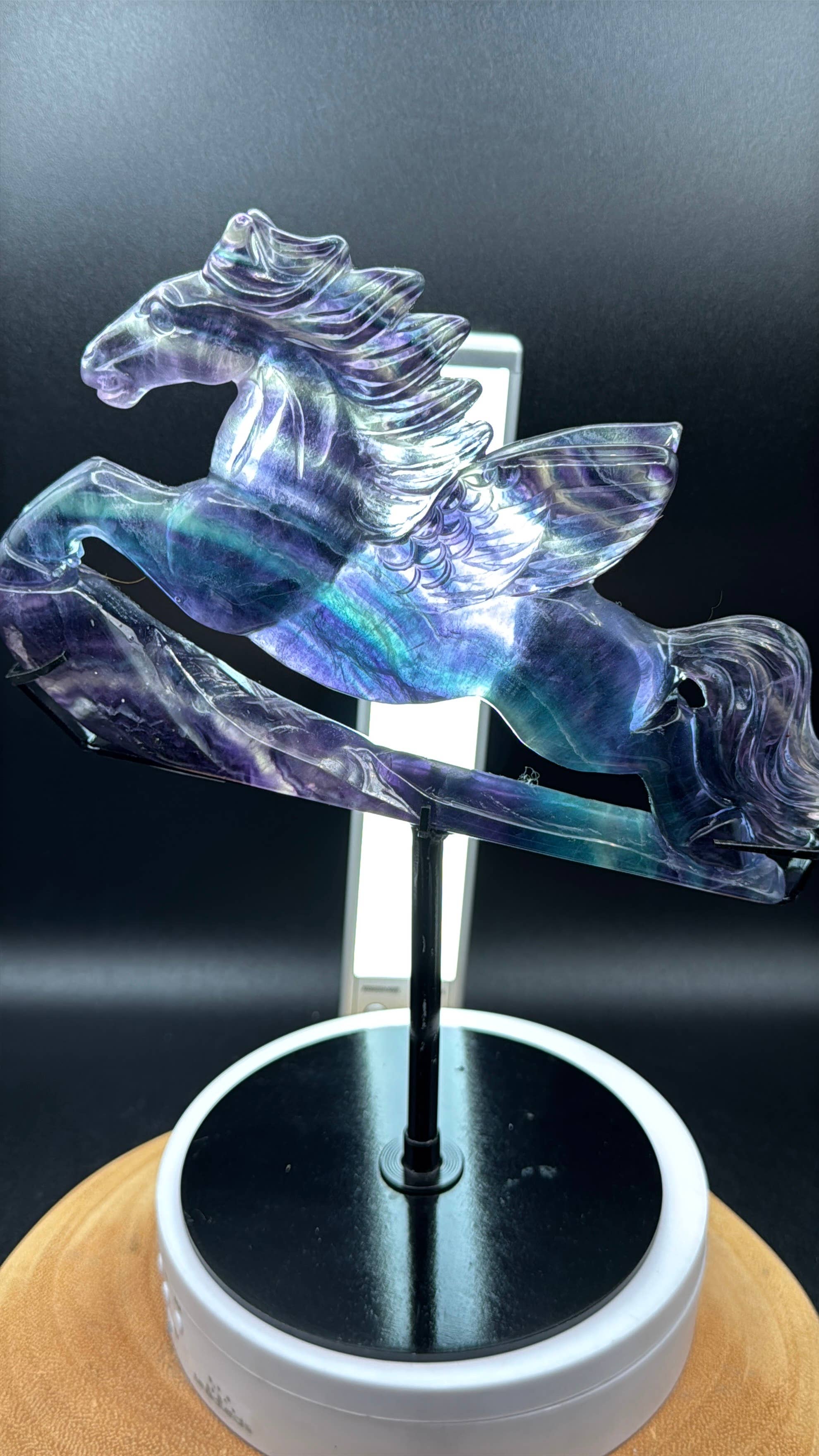 The 7 Directions - Wholesale Spiritual Stone/Crystal - Exquisite Rainbow fluorite Flying horse Pegasus H2086