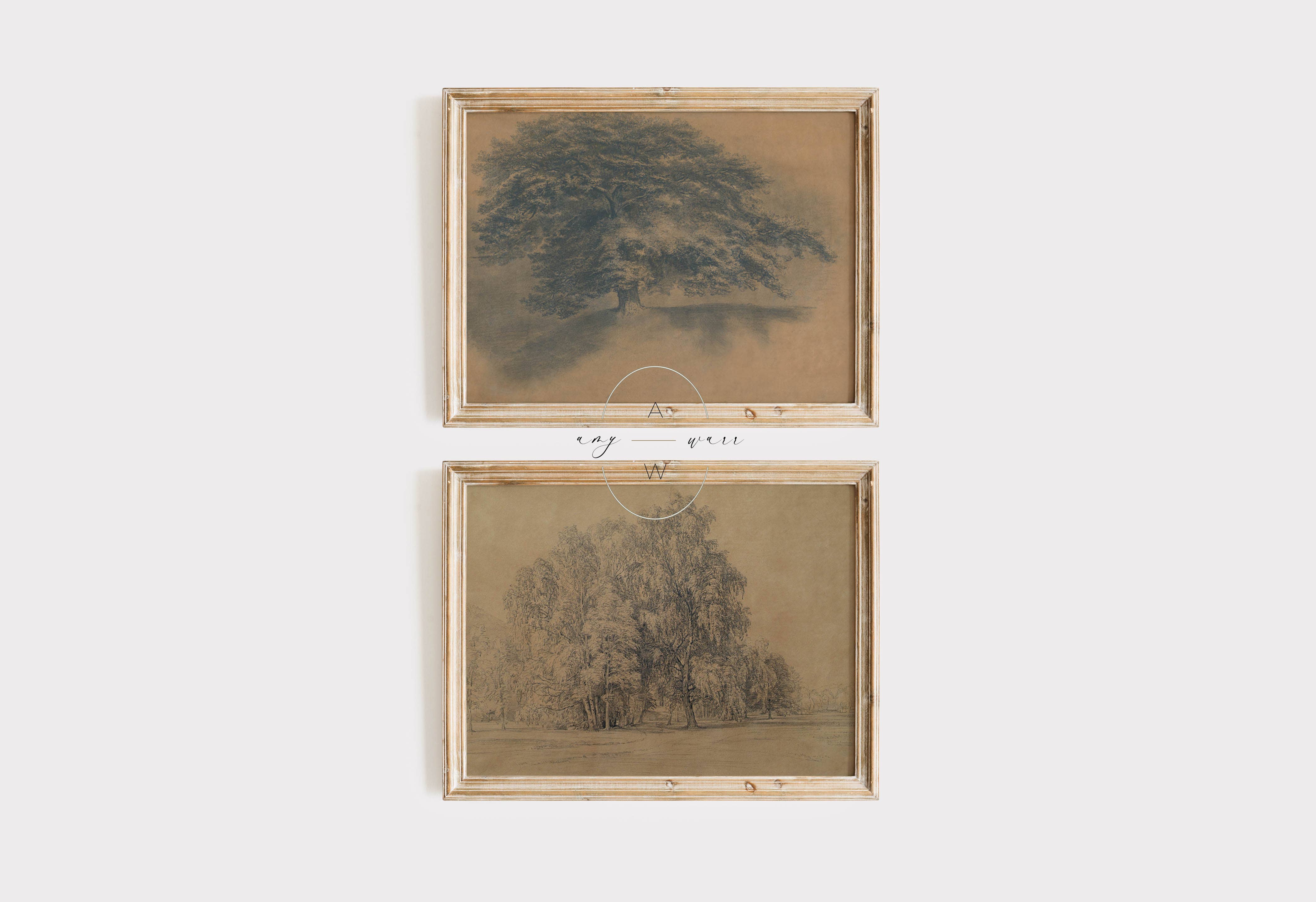 AMY WARR ART - Wholesale Art Print - Vintage Art Print - Tree Sketch - 'Tree Study No. 2'3
